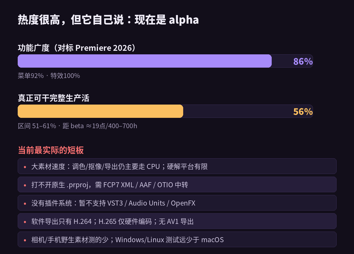 FilmCraft 自评成熟度与当前主要短板
